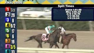 Zenyatta  2008 Clement Hirsch Handicap [upl. by Ahsrav295]