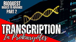 Transcription in Prokaryotes  Part 2  Transcription  CSIR NET December 2024  Basics to Advance [upl. by Jammie]