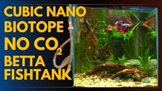 Betta Fish Tank Set Up  Cubic Nano Biotope  No CO2 [upl. by Liagaba]