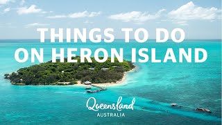 Things to do on Heron Island [upl. by Leisha]