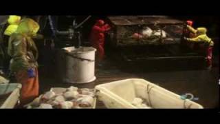 Deadliest catch s06e02 5 of 5avi [upl. by Hadria]