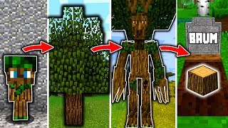 BAUM LEBENSZYKLUS in MINECRAFT  Vom SETZLING zum KÖNIG [upl. by Htaeh]