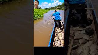 Fishing boat full hunting skills [upl. by Eerot442]