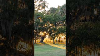 Day 293365 Best Sunset Spot in Beaufort SC photography coastal travel beaufort river art [upl. by Cila]