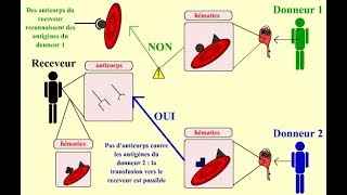 Cas clinique corrigé en Thérapeutique Les Dossiers ENC [upl. by Gladi]