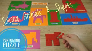 Solving Pentomino Puzzle Animals and shapes as a solutions [upl. by Atnauq63]