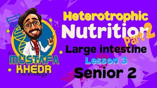 Biology  heterotrophic nutrition  part 2  large intestine دكتور مصطفي خضر [upl. by Nylodnarb4]