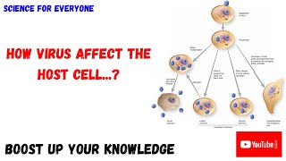 How Virus Affect a Host Cell  Conceptional Explanation [upl. by Aradnahc833]