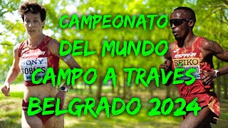 Campeonato del Mundo de Cross  Belgrado 2024 [upl. by Rowena]