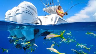 The Most POPULAR Fish in the Florida Keys  Yellowtail Snapper Fishing Frenzy [upl. by Euh733]