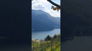 Morcote Tesino Suisse morcote lac lake suisse switzerland suiza nature [upl. by Araht]