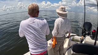 Fishing Tampa Bay September 2024 [upl. by Robinette]