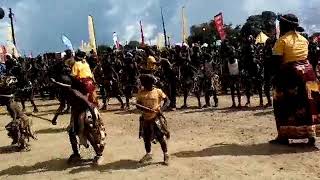 Ngoni tribe of Zambia Ncwala ceremony dance [upl. by Iatnwahs]