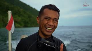 Diving at its Finest with Coralia Liveaboard in Indonesia [upl. by Aissak]