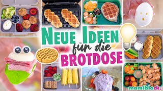 Neue Brotdosen 💡😋🍓 Schnell amp Einfach⚡️  Schule  Kindergarten  mamiblock [upl. by Ennahtur]