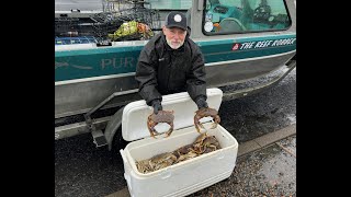 Catch Your Own Dungeness Crab At Yaquina Bay Oregon [upl. by Palmira353]