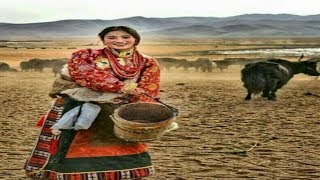 Nomad womans life in Tibet DrokpaEng Chin Subtitles Full Documentary [upl. by Eniluqaj]