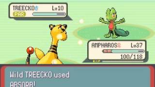 Pokemon Expert Emerald Part 13  Getting Mudkip and Treecko [upl. by Mathew883]