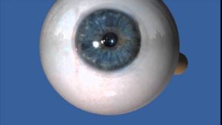 Retinal implant [upl. by Balliett252]