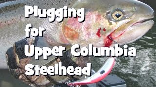 Plugging for Upper Columbia Steelhead [upl. by Leahcin]