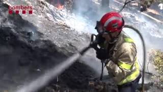 Incendi Forestal a Vallirana Baix Llobregat 14072016 [upl. by Eenal]