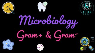 Microbiology lecture 1  what is microbiology and what is bacteria [upl. by Soisatsana633]