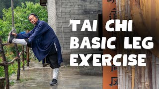 Tai Chi Leg Exercise for Beginners [upl. by Kensell]