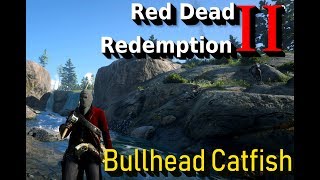 Where to find Bullhead catfish in Red Dead Redemption 2 [upl. by Einobe317]