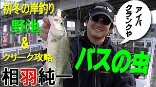 【アイバクランク誕生】バスの虫／相羽純一／初冬の岸釣り野池＆クリーク攻略／最強トーナメンターの食わせ Early winter shore fishing pond amp creek strategy [upl. by Eppillihp]