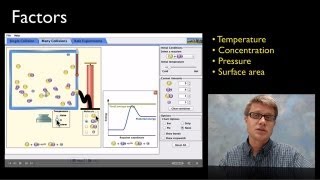 The Rate of Reactions [upl. by Haswell]