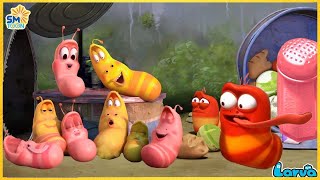 LARVA Season 3 Episode 245 Yellow And Pink Family Best Cartoons 20224  Hilarious Cartoon Larva [upl. by Enttirb]