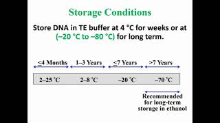 Storage Extracted DNA [upl. by Htilil374]