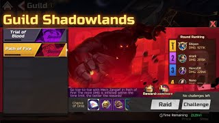 Street Fighter Duel  OVER 9 MILLION DMG Path Of Fire Guild Shadowlands [upl. by Gnok]