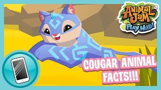 Cougar Animal Facts  Animal Jam Play Wild [upl. by Yor]