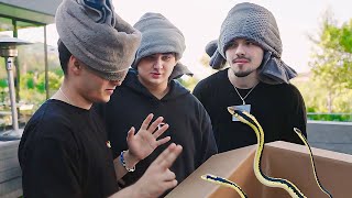 What’s In The Box Challenge With FaZe Clan [upl. by Troth]