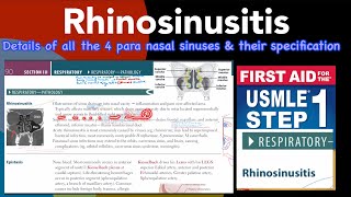 Rhinosinusitis Details of all 4 para nasal sinuses in HindiUrdu by first aid for USMLE step 1 [upl. by Rap914]