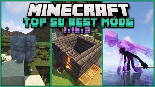 Top 50 Best Mods for Minecraft 1165  Ep 2 Tinkers Construct Mowzies Mobs Twilight Forest [upl. by Aroved482]