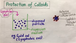 Protection of Colloids amp Gold Number [upl. by Ixela]