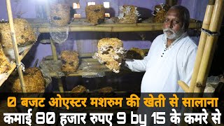 Oyster Mushroom cultivation  Mushroom Farming  घर पर उगाये खूब सारी मशरूम बिना गार्डन [upl. by Lucita]