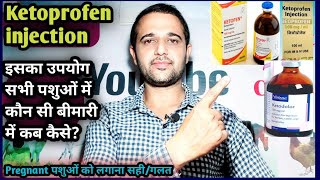 VetMedicine Ketoprofen injection use in all AnimalsKonsi Disease mein kab kase lagaye [upl. by Whatley207]