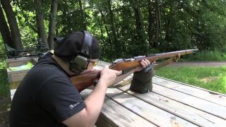 Glenfield 25 22 Rifle by Marlin amp Mosin Nagant  Range Day [upl. by Kcirdek510]