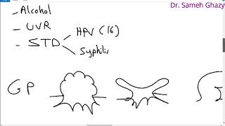 Systemic pathology 71  GIT 10 diseases of mouth Dr Sameh Ghazy [upl. by Yael512]