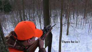 Pennsylvania Public Land Deer Hunt The Blues [upl. by Ielak]