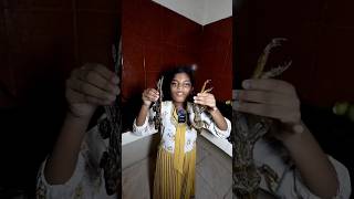 KFC பிரெட் frog 🐸🍛🍖🍜🥙shorts trending food frog animals chinese ytshortsyt funnykfc [upl. by Leugar76]