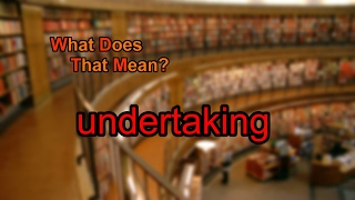 What does undertaking mean [upl. by Malarkey369]