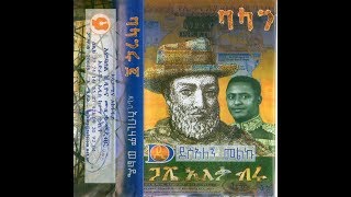 Dessalegn Melku  Menagn መናኝ 1995 EC [upl. by Ahtanamas708]