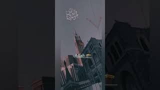 Wo Mera Nabi hai 🥰🕋 whatsapp ♥️ status♥️ video😍 islamic full 💯🕋🕋 [upl. by Wise]