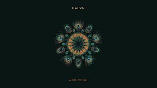 HAEVN  Wide Awake New Album  Out Now [upl. by Smailliw]