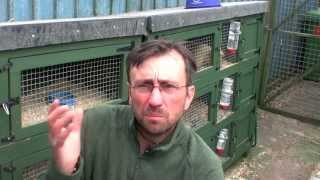 Shooting Times Simon Whitehead on breeding ferrets [upl. by Holly-Anne884]