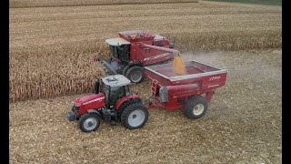 Corn Harvest Video for the Massey Ferguson Fans [upl. by Chaworth]